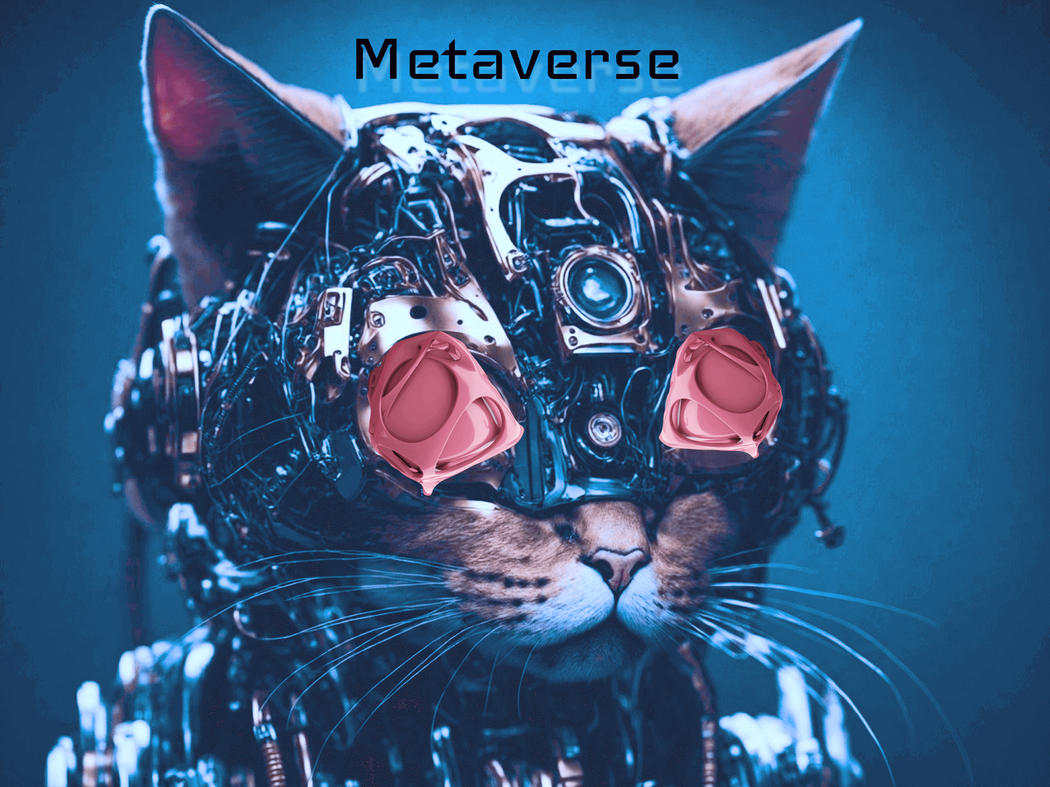 meta